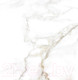 Миниатюра изображения товара Плитка Gracia Ceramica Carrara Premium White PG 01 (600x600)