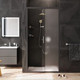 Миниатюра изображения товара Душевая дверь AM.PM Gem W90G-100-1-195BM