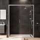 Миниатюра изображения товара Душевая дверь AM.PM Gem W90G-150-1-195MT