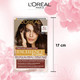 Миниатюра изображения товара Крем-краска для волос L'Oreal Paris Excellence Creme 4U (универсальный каштановый)
