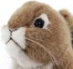 Миниатюра изображения товара Мягкая игрушка Hansa Сreation Рыжая белка / 3395 (16см)