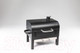 Миниатюра изображения товара Угольный гриль GoGarden Grill-Master Compact / 50141 (серый)