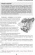 Миниатюра изображения товара Книга Эксмо На пути к здоровому мозгу. Простые и доступные методы (Сирс У.)