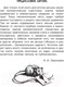 Миниатюра изображения товара Энциклопедия АСТ Живая математика (Перельман Я.И.)