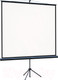 Миниатюра изображения товара Проекционный экран Lumien Eco View 160x160 / LEV-100105