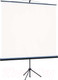 Миниатюра изображения товара Проекционный экран Lumien Eco View 160x160 / LEV-100105