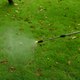 Миниатюра изображения товара Опрыскиватель аккумуляторный Deko DKSP12 / 065-0955 (14л)