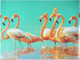 Миниатюра изображения товара Набор алмазной вышивки Феникс+ Страна розовых фламинго / 59827