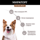 Миниатюра изображения товара Сухой корм для собак Мираторг Extra Meat для взр. собак средних пород говядина / 1010024078 (2.6кг)