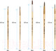 Миниатюра изображения товара Набор кистей ArtSpace Белка / SB1-5_2388 (5шт)