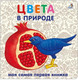 Миниатюра изображения товара Развивающая книга Робинс Книжки-картонки. Цвета в природе