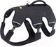 Миниатюра изображения товара Шлея-жилетка для животных Ferplast Ergotrekking / 75467152 (XL, черный)