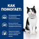 Миниатюра изображения товара Влажный корм для кошек Hill's Prescription Diet i/d Feline with Salmon (85г)