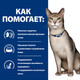 Миниатюра изображения товара Влажный корм для кошек Hill's Prescription Diet k/d Feline with Salmon (85г)