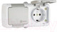 Миниатюра изображения товара Розетка EKF Мурманск-2 16А IP54 с защитными шторками и крышкой (серый)