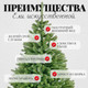 Миниатюра изображения товара Ель искусственная Erbis Swierk Gesty 180
