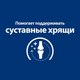 Миниатюра изображения товара Сухой корм для кошек Hill's Prescription Diet Joint Care j/d / 605857 (1.5кг)