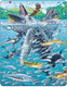 Миниатюра изображения товара Пазл LARSEN Горбатые киты в стае сельди FH47