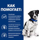 Миниатюра изображения товара Сухой ветеринарный корм для собак Hill's Prescription Diet Digestive Care i/d Stress Mini / 606191 (3кг)