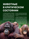 Миниатюра изображения товара Энциклопедия Эксмо Красная книга. Животные мира (Скалдина О.В., Слиж Е.А.)