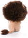 Миниатюра изображения товара Мягкая игрушка Nici Лев Клифф 46950 (25см)