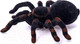 Миниатюра изображения товара Радиоуправляемая игрушка Woow Toys Паук Тарантул / 4177590