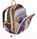 Миниатюра изображения товара Школьный рюкзак Across ACR22-392-2