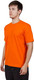 Миниатюра изображения товара Футболка Premier Textile Х/б 160гр (4XL, оранжевый)