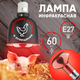 Миниатюра изображения товара Лампа для растений ЭРА ИКЗК 230-60 R63 / Б0057281