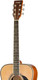 Миниатюра изображения товара Акустическая гитара Homage LF-4123-N