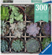Миниатюра изображения товара Пазл Ravensburger Суккуленты / 12967 (300эл)