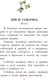 Миниатюра изображения товара Книга АСТ Филипок. Рассказы. Басни (Толстой Л.)