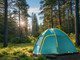 Миниатюра изображения товара Палатка Coyote Vaal-4 v2 / CL-B15-4P-Green