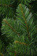 Миниатюра изображения товара Сосна искусственная Erbis Sosna Lux (2.2м)