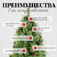 Миниатюра изображения товара Ель искусственная Erbis Borys cмешанная (2.2м)