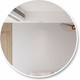 Миниатюра изображения товара Зеркало Алмаз-Люкс Д-044 (D100см)