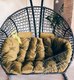 Миниатюра изображения товара Кресло подвесное Craftmebelby Кокон Двойной (белый/желтый)