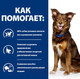 Миниатюра изображения товара Сухой корм для собак Hill's Prescription Diet Metabolic коррекция веса / 606044 (1.5кг)