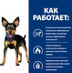 Миниатюра изображения товара Сухой ветеринарный корм для собак Hill's Prescription Diet Metabolic Mini коррекция веса / 606378 (1кг)