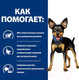 Миниатюра изображения товара Сухой ветеринарный корм для собак Hill's Prescription Diet Metabolic Mini коррекция веса / 606378 (1кг)