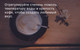 Миниатюра изображения товара Кофемашина Nivona CafeRomatica NICR 560