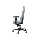 Миниатюра изображения товара Кресло геймерское AndaSeat Phantom 3 / AD18Y-06-G-F (серый)