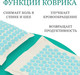 Миниатюра изображения товара Массажный коврик Sundays Fitness IR98590B