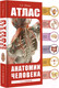 Миниатюра изображения товара Атлас АСТ Атлас анатомии человека (Левкин С.)