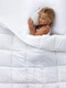 Миниатюра изображения товара Одеяло GoodNight Comfort 200x220 / OLM300ev (лебяжий пух/микрофибра)