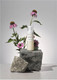 Миниатюра изображения товара Пенка для умывания Rawquest Echinacea Calming Moisture Peeling Bubble Foam (150мл)