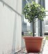 Миниатюра изображения товара Кашпо Prosperplast Terra DCE40-R624 (терракотовый)