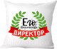 Миниатюра изображения товара Подушка декоративная Print Style Его величество директор / 40x40plat71