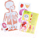Миниатюра изображения товара Развивающая игра Веселые липучки Мое тело / 5598574