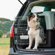 Миниатюра изображения товара Переноска для животных Ferplast Atlas 60 Professional / 73060021